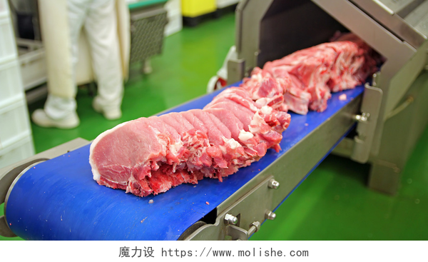 运输带上的生肉特写镜头新鲜的生猪肉排骨肉厂